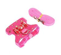 Generic Ferret Walking Lead ArnéS Chaleco Conjunto de Correa Correa Suave para el Pecho Al Aire Libre para Mascotas Pequeñas Colores Brillantes Adecuado para Chinchilla Ardilla Suministros para (M)