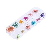 Generic Flor Seca Rosa de 12 Colores para Diseño de Arte de Uñas, Estuche de Decoración de Bricolaje, Color Brillante que No Se Desvanece Fácilmente, Ideal para Decoración de Manicura con Esmalte de