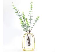 Generic Jarrones Transparentes para Plantas Hidropónicas, Elegante Decoración de Macetas de Cristal para Scindapsus, Menta, Hydrocotyle Vulgaris, Decoración del Hogar, 4,3x6,1 Pulgadas, Dorado, (GOLD)