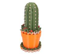 Generic Juego de Ajedrez de Plantas, Divertido Juego de Viaje con Temática de Plantas con Tablero de Ajedrez Portátil y Piezas, para Edades de 15 Años en Adelante