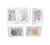 Generic Juego de Flores Prensadas y Secas, 100 Piezas de Hermoso Juego de Flores Prensadas Reales para Manualidades, Diseño Elegante, Ideal para Manualidades de Resina, álbumes de Recortes, Tamaño