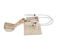 Generic Juego de Juguetes Modelo de Excavadora Hidráulica DIY de Madera para Niños 5,9 X 4,3 X 0,4 Pulgadas Aprendizaje Científico Divertido Stem