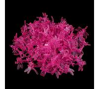 Generic Mini Tallos de Plástico de Orquídea que Crecen Clips Verticales para un Agarre Fuerte, Diseño Encantador y Fácil Uso, 100 Unidades para Enredaderas de Jardín y Soporte de Flores (Rosa roja)