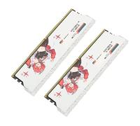 Generic PC para Juegos DDR4 RAM 3600MHz XMP2.0 Módulo de Memoria para Escritorio de Alto Rendimiento 2 Piezas (32 GB (2x16 GB))