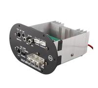 Generic Placa Amplificadora de Coche de Alta Potencia, Módulo Amplificador de Graves de Tono Completo Puro de 120W para Estéreo para Coche, Altavoz Subwoofer