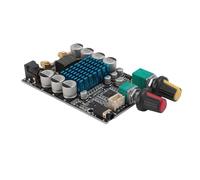 Generic Placa Amplificadora Digital de Alta Potencia, Módulo Mono de 100 W para Altavoz Subwoofer de Bricolaje, Color Negro