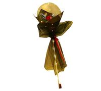 Generic Ramo de Rosas con Globos Luminosos con Luces LED para Regalos Románticos del Día de San Valentín - Plástico Ecológico, Juego Completo para Ocasiones Especiales (rojo)