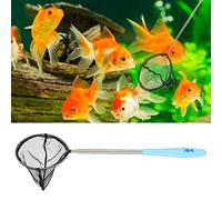 Generic Red de Malla Fina para Acuario de Acero Inoxidable con Largo, para Eliminar Desechos, Desechos o Alimentos para Peces No Consumidos, Red de Pesca para Camarones, Peces Pequeños, Azul, 23,5