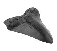 Generic Réplica de resina de diente de megalodón negro vintage, en forma de corazón con textura detallada, regalo coleccionable para entusiastas, mide 4.5 x 5.5 pulgadas