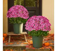 Genérico 10 Bundles Artificial Mums, 2026 New Artificial Outdoor Fake Sunset Flowers, Resistant Look Real No Fade, Waterproof, Windproof, for Front Door Porch Patio Yard Balcony (Pink)