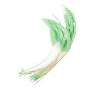 Genérico 10 plumas de gallo naturales for manualidades de boda, plumas coloridas, manualidades for fiestas, carnaval, accesorios de decoración for la cabeza.(MINT GREEN)