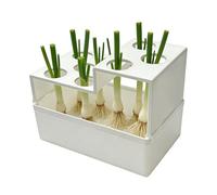 Genérico 2 Pack Seed Trays, Automatic Bottom-Heated Propagator | Reusable Leakproof Breathable | Spring Onion Sprouting Container | For Hydroponic Vegetable Planting Gardening Regrowing Propagations