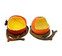 Genérico 2 Piezas Caja De Alimentación De Loros Bebedero para Pájaros para Jaula Comedero De Plato De Colibrí Bandejas De Comida Comedero para Pájaros De Sebo Bird Food Bowl El Plastico