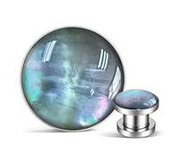 Genérico 2 Piezas Concha Abulón Natural & Acero Inoxidable Túneles 8-25mm, Polea Dilatador de Perforación - Plugs Perforados Joyas Stretching(A-Silver,10mm (00g))