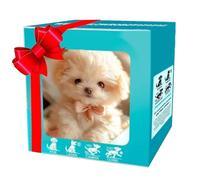 Genérico 2025 New Ai Robot Dog, Robotic Puppy Toys, Robot Puppy That Acts Like a Real Puppies, for Sitting Barking Walking Tail Wagging and Running (Style E)