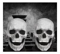 Genérico 2025 New Halloween Full Head Skull Mask, Full Head Skull Latex Mask with Movable Jaw for Cosplay Party Props (2pcs*white)