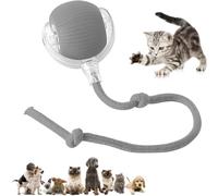 Genérico 2025 Nueva Bola De Perro De Perro Interactiva, New Jugguete Electro con Carga USB, Juguetes Interactivos para Gatos Toyes Automáticos para Perros Autónomos, 360° Smart Automatic (Gris)