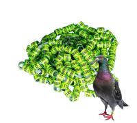 Genérico 2025 Pigeon Leg Rings | 50pcs Safe Birdhouse Accessories - Bright Colors Size Pegeon Easy to Distinguish