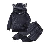 Genérico 2026 Chándal para niñas con capucha y pantalones, conjunto de dos piezas con alas de ángel, suave, para bebés y niños pequeños. (Grey, 9-12 Months)