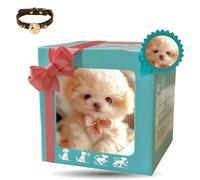 Genérico 2026 New Nicoo My Realistic Robot Puppy, That Acts Like A Real Dogs,My Realistic Robot Puppy for Adults, Walking, Barking, Tail Wagging, Gift for Pet Lovers (Style A)