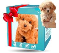 Genérico 2026 Upgrade Robot Puppy Ai Robot Dog - My Realistic Robots Puppy, That Acts Like A Real Puppys,Walking, Barking, Tail Wagging for Pet Lover (#B)