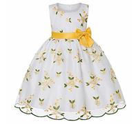 Genérico 2026 Vestido Bordado Tul Princesa niñas pequeña Malla Verano Desfile Elegante Encaje Floral (Yellow, 2-3 Years)