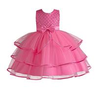 Genérico 2026 Vestido Verano niñas pequeñas sin Mangas Princesa Pasarela actuación Elegante Encaje Floral Tul Bordado Cintura Ligero cómodo Boda Ceremonia Regalo Infantil (2-3 Years)