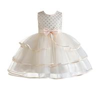 Genérico 2026 Vestido Verano niñas pequeñas sin Mangas Princesa Pasarela actuación Elegante Encaje Floral Tul Bordado Cintura Ligero cómodo Boda Ceremonia Regalo Infantil (Beige, 4-5 Years)