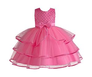 Genérico 2026 Vestido Verano niñas pequeñas sin Mangas Princesa Pasarela actuación Elegante Encaje Floral Tul Bordado Cintura Ligero cómodo Boda Ceremonia Regalo Infantil (2-3 Years)
