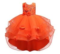 Genérico 2026 Vestido Verano sin Mangas para niñas pequeñas Princesa con Flores actuación Pasarela Elegante Infantil (Orange, 4-5 Years)