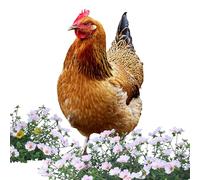 Genérico 2D Flat Acrylic Chicken Yard Art | 12-13 Inch Height, 3mm Thick, Yellow/Red | Outdoor Garden Stake, Double Sided | Farmhouse Lawn Decoration, Easter Spring Porch Ornament For Yard