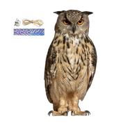 Genérico 2D Owl Bird Repeller, Decorative Scarecrow Pendant, Hanging Garden Scarer with Bell, Fake Bird Device, Outdoor Decor with Waterproof Coating, Patio Balcony Garden Accessory