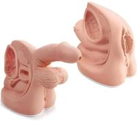 Genérico 2Pcs Male and Female Catheter Anatomy Model, Modelo Simple de Anatomía Genital Interna y Externa y Molde de Catéter Urinario para Enseñanza Clínica y Entrenamiento Práctico