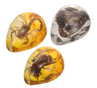 Genérico 3 Piezas de Especímenes Únicos de Insectos en Resina Ámbar Portátil Diseño Elegante y Sencillo para Decoración Navideña o Colección Científica
