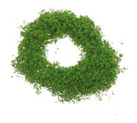 Genérico 60g Polvo de Musgo Artificial Verde (3 Bolsas), Serrín de Esponja Realista para Maquetas, Belenes y Dioramas, Hierba Estática para Paisajismo en Miniatura y Decoración de Carcasas DIY