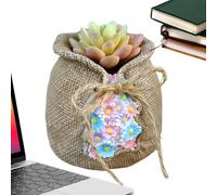 Generico a de plantas de resina contenedor con agujero de drenaje, maceta de flores bolsas - figuritas estatuas de paisaje de escritorio para sala de estar de cama decoraciones de jardín al