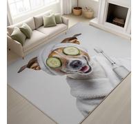 Genérico Abstracto Perro Pepino Cepillo De Dientes, Alfombras para Salon Alfombra Lavable en la Lavadora Comedor Dormitorio Decoración del Hogar Alfombra Antideslizante (Blanca, 80 x 150 cm)
