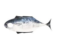 Genérico Adult Fish Costume, Funny Animal Cosplay Outfit, Cozy Festival Clothing, 60x160cm, Role Play, Masquerade Events, Party Entertainment Realistic Animal Design Brings Excitement