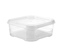 Genérico Airtight Small Refrigerator Storâge Boxes For Meat & Produce - Classified Freezer Preservation Trays | Heavy-Duty Stackablê Food Division Organizer Case For Kitchen Counter, Fridge & Freezer
