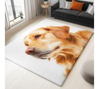 Genérico Alfombra de área 160 x 230 cm, Antideslizante Lavables en Lavadora Blanco Moderno Animales Golden Retriever no desprende Pelusa fácil Cuidado, Ideal para Zonas de Alto tránsito para niños