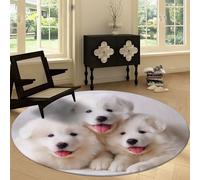 Genérico Alfombra Redondo Moderna 120 cm Lavable a Máquina, Alfombra de Pelo Corto Antideslizante Arte Moderno - Moqueta Resistente Blanco Animal Perro Samoyedo para Salón Dormitorio Comedor Oficina