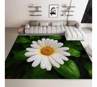 Genérico Alfombras Fotografía De Naturaleza Lavables para Sala de Estar 80 x 150 cm, Suave Pelo Corto Alfombra Plantas Hojas Verdes Margaritas Blancas para Salón Cocina Entrada Comedor Dormitorio