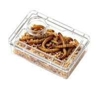 Genérico Alimentador de Reptiles a Prueba de Fugas - Tazón antiescape para de harina, contenedor de Alimentos | Compartimento Integrado de Polvo de Calcio para ermitaño, Rana, araña, CAM