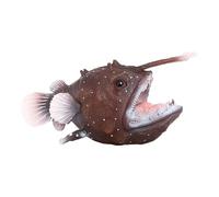 Genérico Angler Fish Modelo - Escultura de Pescador | Linda linterna salvaje de peluche realista | Decoraciones de oficina versátiles Juguete de pesca de la Línea | decoraciones de