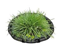 Genérico Anillo Flotante para Plantas,Barrera Flotante para Peces y Flora Acuática | Malla De 45 Cm con Rejilla Fina Decorativa para Estanques De Peces Y Jardín Decoración De Exteriores Y Hogar