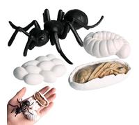 Genérico Animal Life Cycle Toys - Life Cycle Figurines Educational Toy Set | Realistic Animal Growth Cycles Models | Butterfly Turtle Frog Ant Learning Science Figures For Kids | Educational Toy