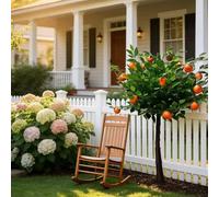 Genérico áRbol Citrico Artificial Mantenimiento Bajo UV Resistente áRbol De Naranja Artificial con Hojas Realistas, áRbol Falso Grande para Sala Estar Terraza Oficina,4.9ftx3.9ft