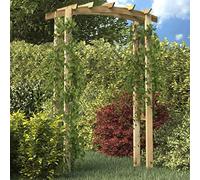 Genérico Arco con Enrejado de Madera 150x60x210 cm,Casa y jardín,Jardín,Artículos de Exterior,Estructuras de Exteriores,Pérgolas, Arcos y enrejados de jardín,Marrón,23.45 KG,41662