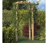 Genérico Arco con Enrejado Madera Maciza de Pino impregnada 110x60x210cm,Pérgolas, Arcos y enrejados de jardín-318560