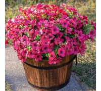 Genérico Arisefrom Artificial Flowers, Arisefrom Artificial Outdoor Flowers, 2025 Upgraded UV Resistant Lifelike Artificial Flowers for Spring/Summer/Antumn Decor (Rose Red)